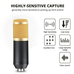 Professional Studio Broadcasting Microphone