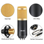 Professional Studio Broadcasting Microphone